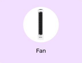Fan