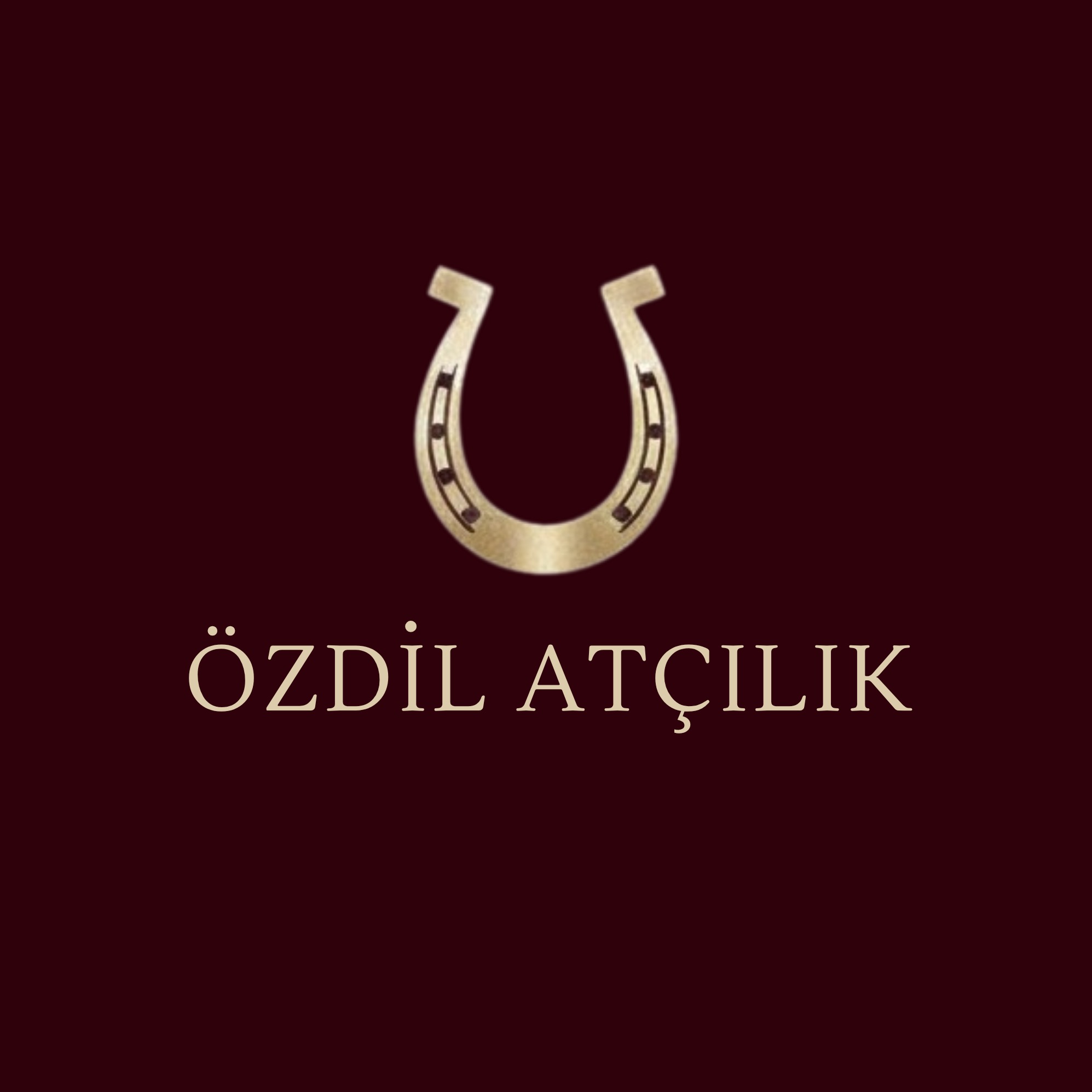 ÖZDİL ATÇILIK