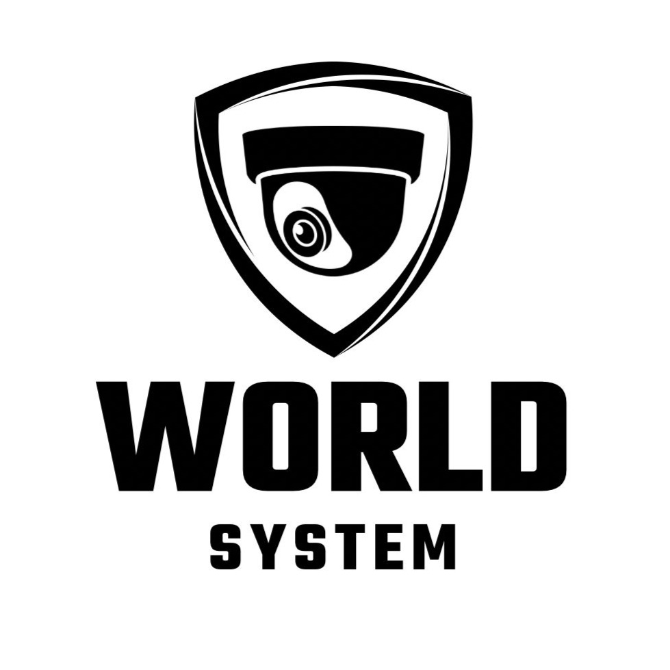 World System
