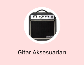 Gitar Aksesuarları
