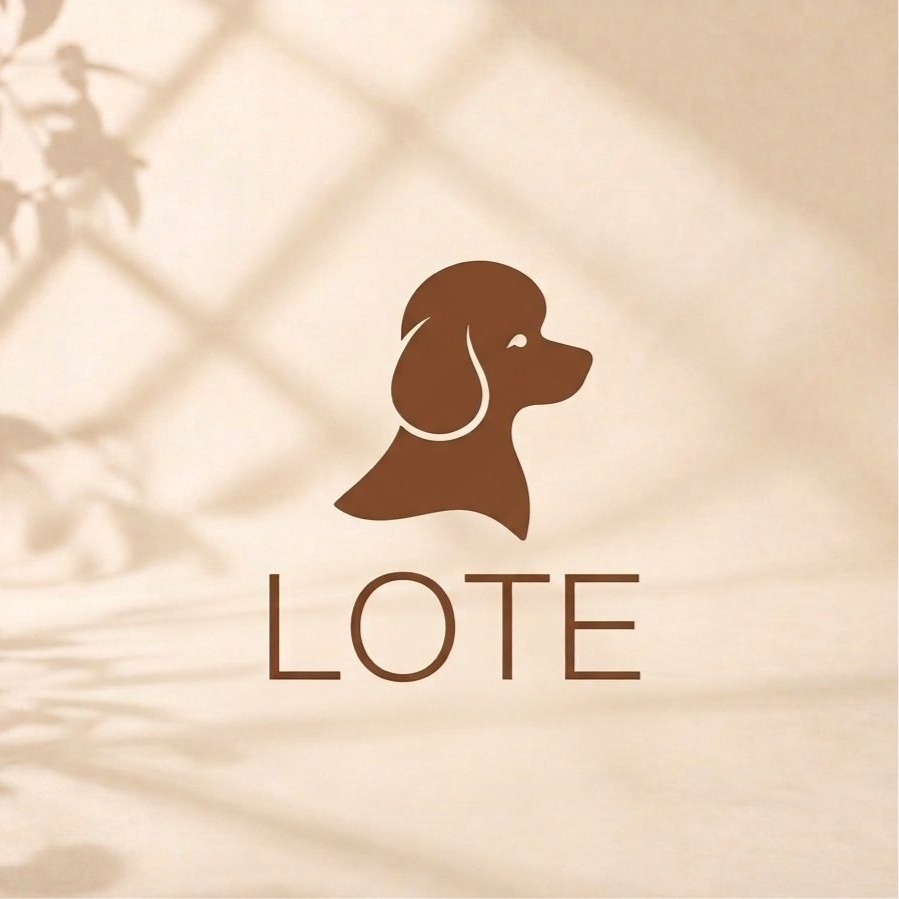 Lote
