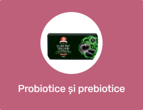 Probiotice și prebiotice