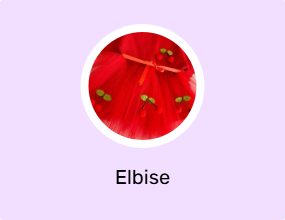 Elbise