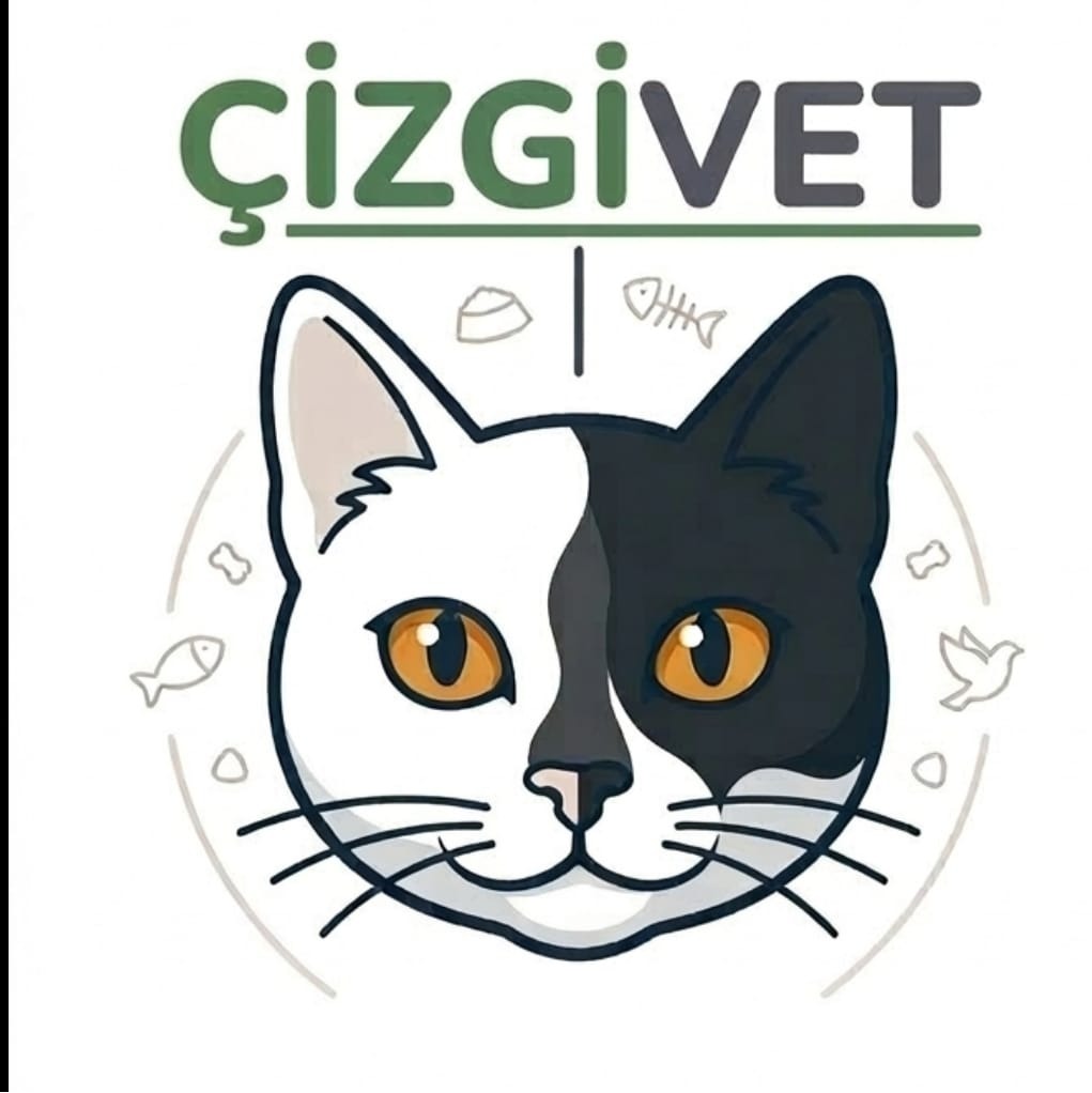 çizgivet