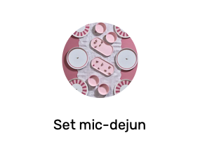 Set mic-dejun