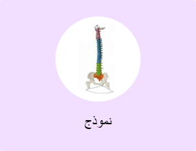 نموذج