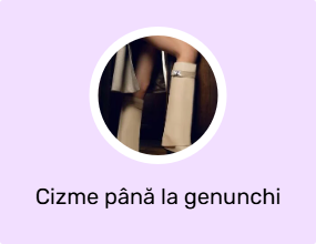 Cizme până la genunchi