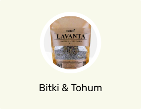 Bitki & Tohum