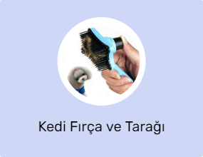 Kedi Fırça ve Tarağı
