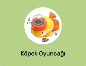 Köpek Oyuncağı