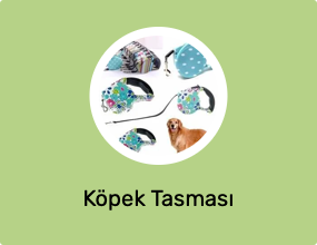 Köpek Tasması