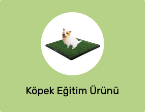Köpek Eğitim Ürünü
