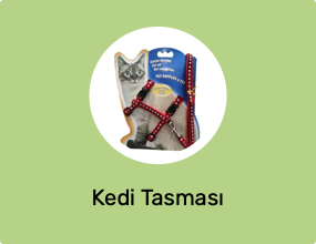 Kedi Tasması