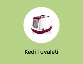 Kedi Tuvaleti