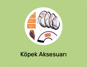 Köpek Aksesuarı