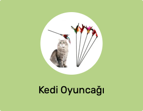 Kedi Oyuncağı