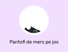 Pantofi de mers pe jos