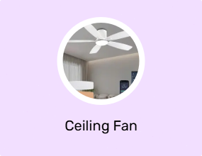 Ceiling Fan