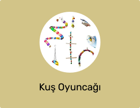Kuş Oyuncağı