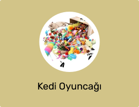 Kedi Oyuncağı