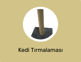 Kedi Tırmalaması