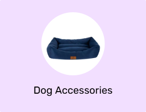 Dog Accessories