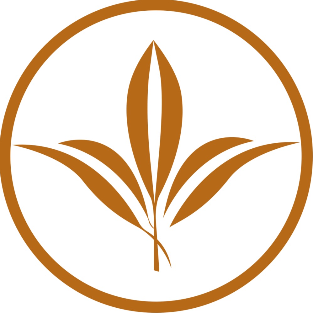 VialongStore
