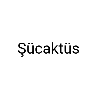 Şücaktüs