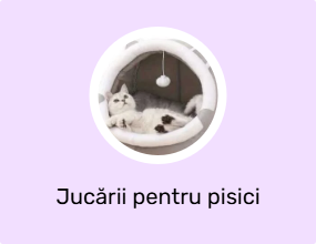 Jucării pentru pisici