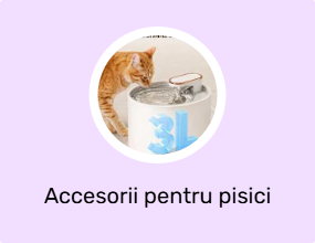 Accesorii pentru pisici