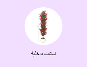 نباتات داخلية