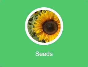 Seeds