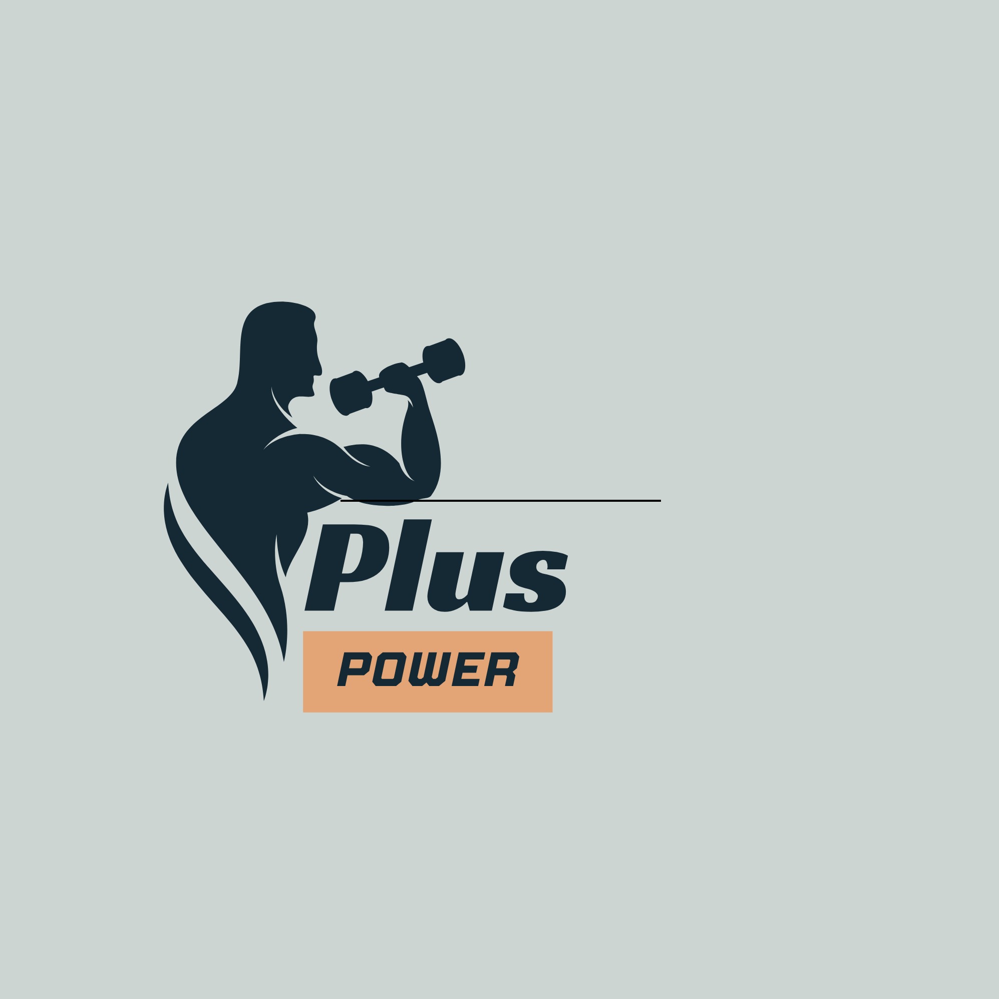 Plus Power