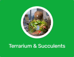 Terrarium & Succulents
