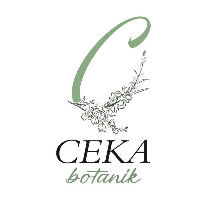 CEKA BOTANİK SÜS BİTKİLERİ