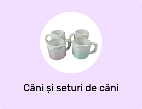 Căni și seturi de căni