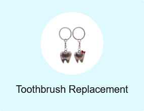 Toothbrush Replacement Head