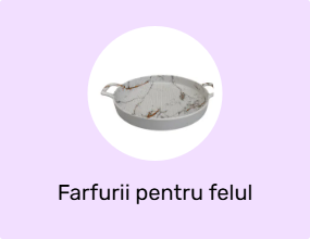 Farfurii pentru felul principal