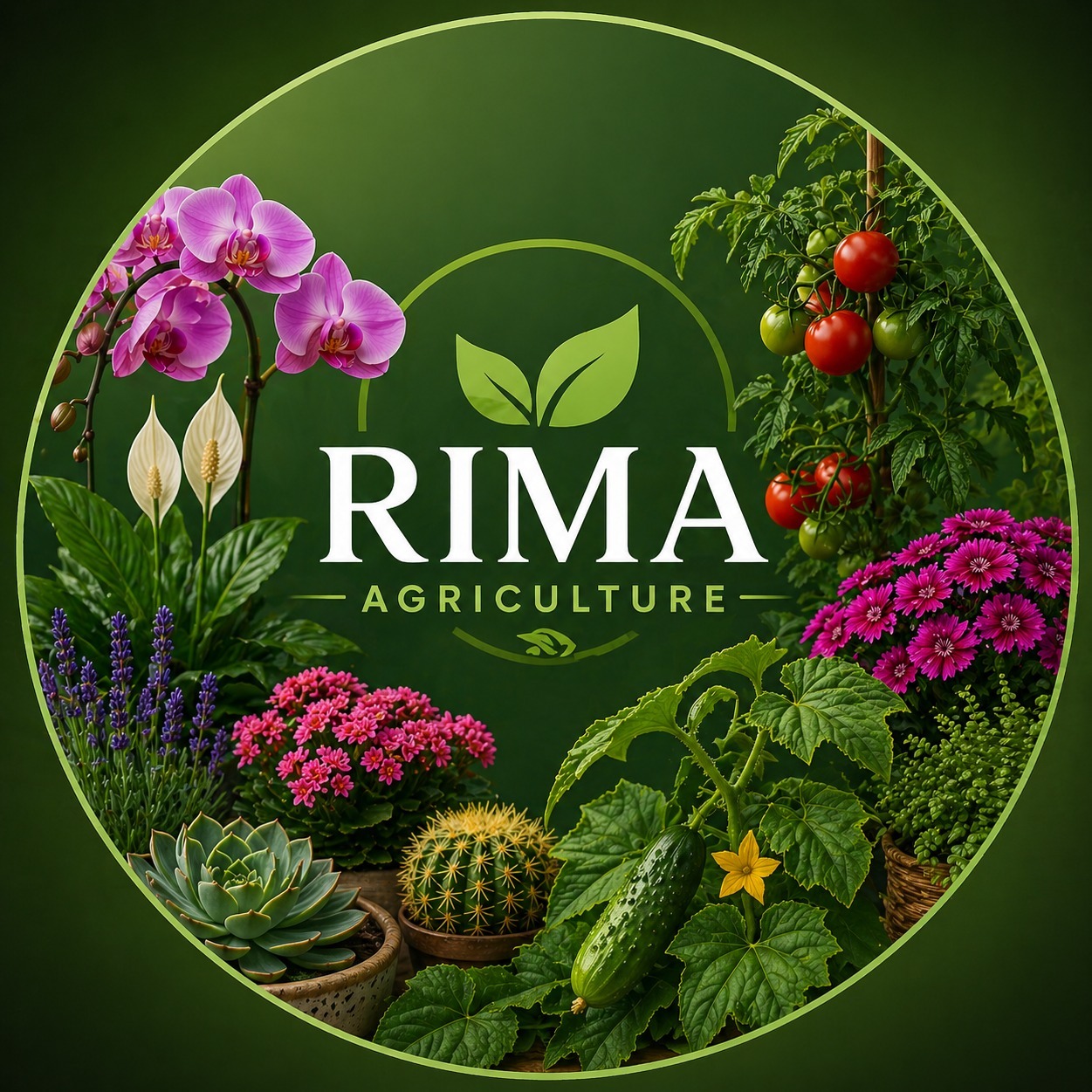 Rima Agriculture
