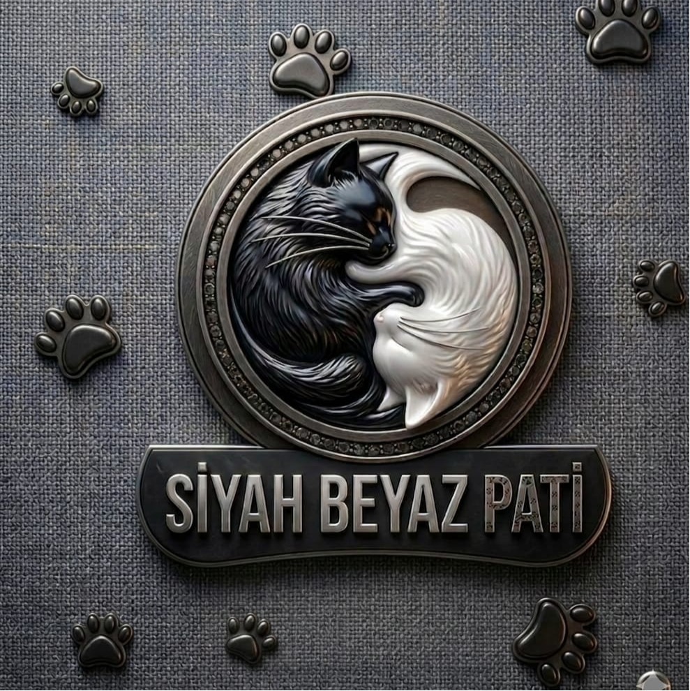 siyah beyaz pati kedi evi