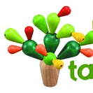 TAYGA TOYS