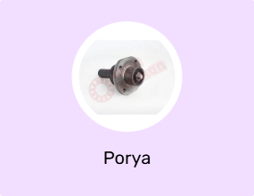 Porya