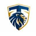 Temur Company