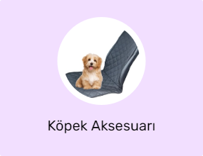 Köpek Aksesuarı