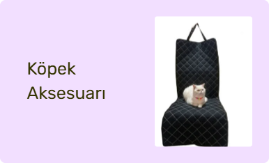 Köpek Aksesuarı