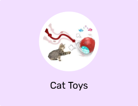 Cat Toys
