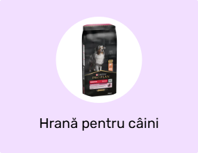 Hrană pentru câini
