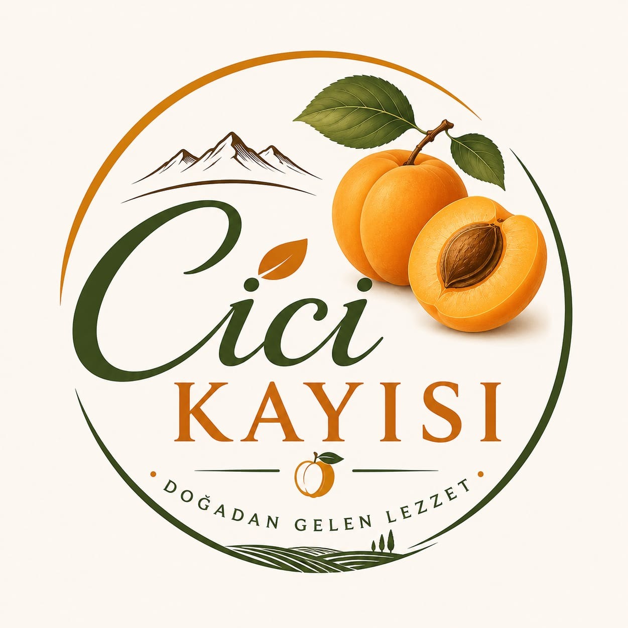 RECEP CİCİ
