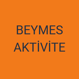 BEYMES AKTİVİTE