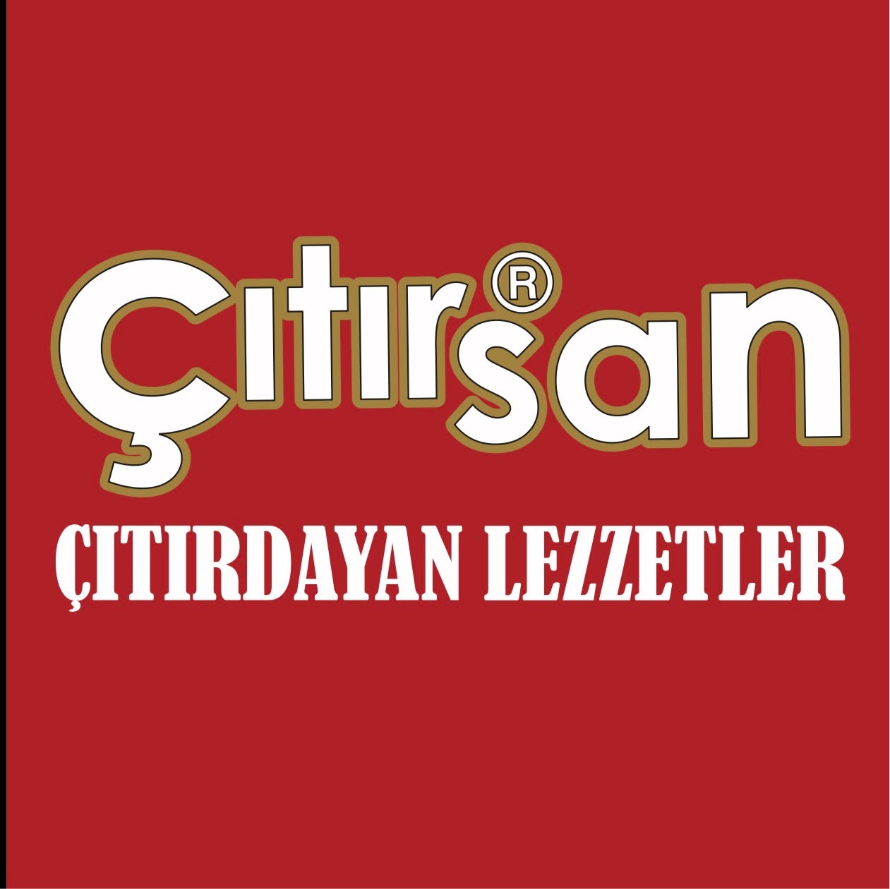 ÇITIRSAN KURUYEMİŞ GIDA SANAYİ